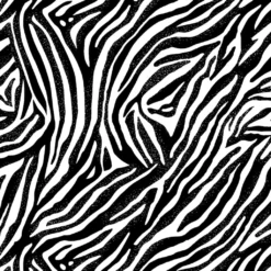 Best reviews of 🤩 Black & White Zebra Cotton Fabric Bundle by Loops & Threads™ ⌛ -Nifty Sew Sales Store 10631337 3